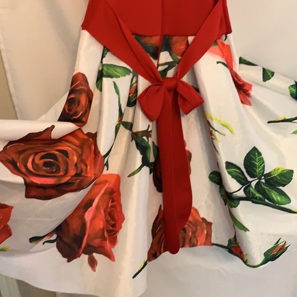 Red Floral Dress by FE Forever - Picture 7 of 8